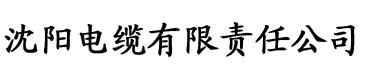 丁丁一进一出免费试看电缆厂logo